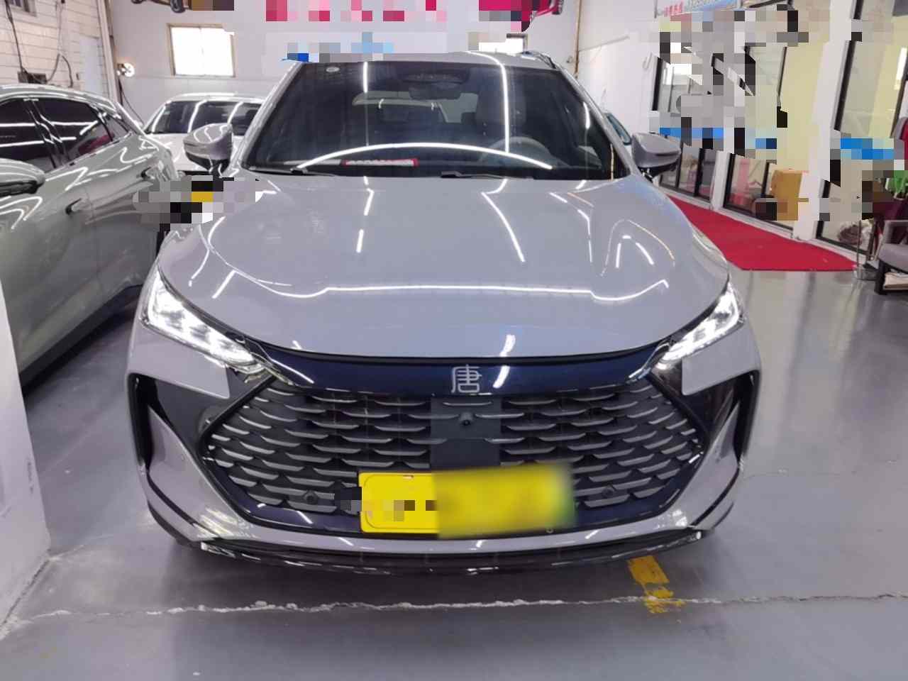 比亚迪 唐新能源 2025款 智驾版 DM-i 115KM 尊贵型(1)