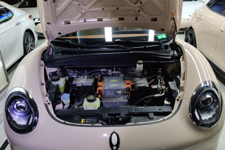 欧拉好猫 2022款 400km标准续航 豪华型 磷酸铁锂机舱底盘24