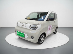 五菱汽车 宏光MINIEV 2024款 第三代 170km