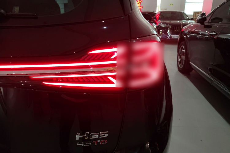 红旗HS5 2025款 2.0T 两驱旗享Pro版车身外观9