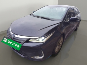 丰田 亚洲狮 2021款 2.0L 旗舰版