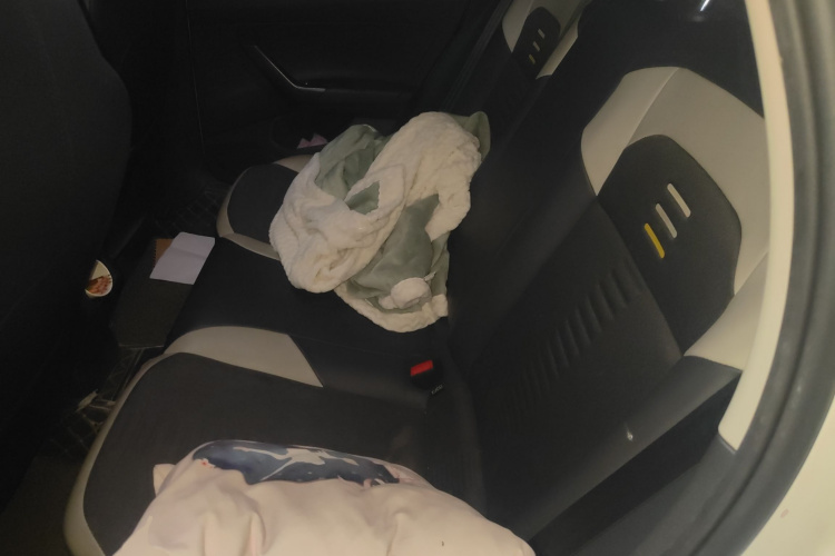 大众 Polo 2021款 Plus 1.5L 自动炫彩科技版中控内饰21