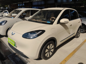 五菱汽车 五菱缤果 2025款 333km 灵犀互联款