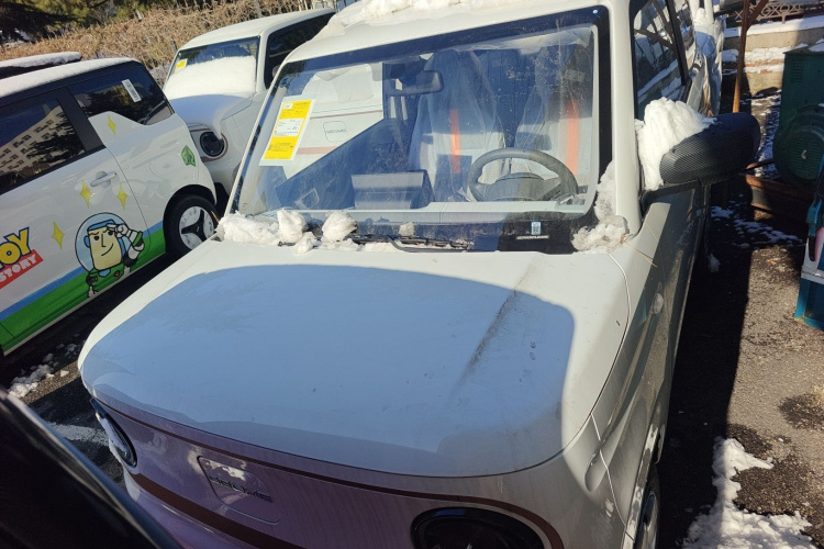 吉利银河 2024款 熊猫mini 200km 耐力熊车身外观2