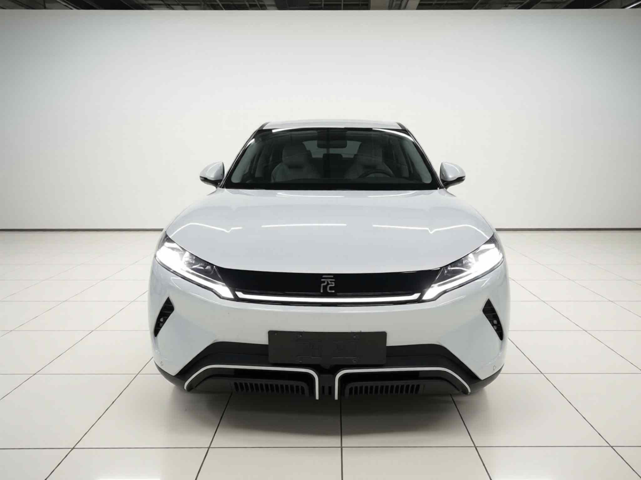 比亚迪 元UP 2024款  401KM 活力版(1)