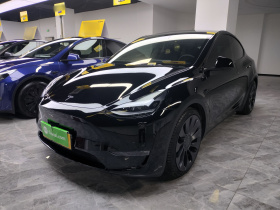 特斯拉 Model Y 2021款 Performance高性能全轮驱动版