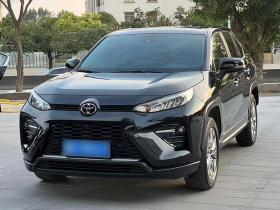 丰田 威兰达 2020款 2.0L CVT两驱豪华版