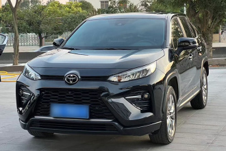 丰田 威兰达 2020款 2.0L CVT两驱豪华版