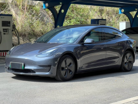 特斯拉 Model 3 2021款 标准续航后驱升级版 3D6