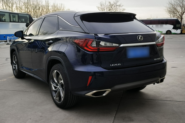 雷克萨斯RX 2016款 300 四驱典雅版 国VI车身外观6006