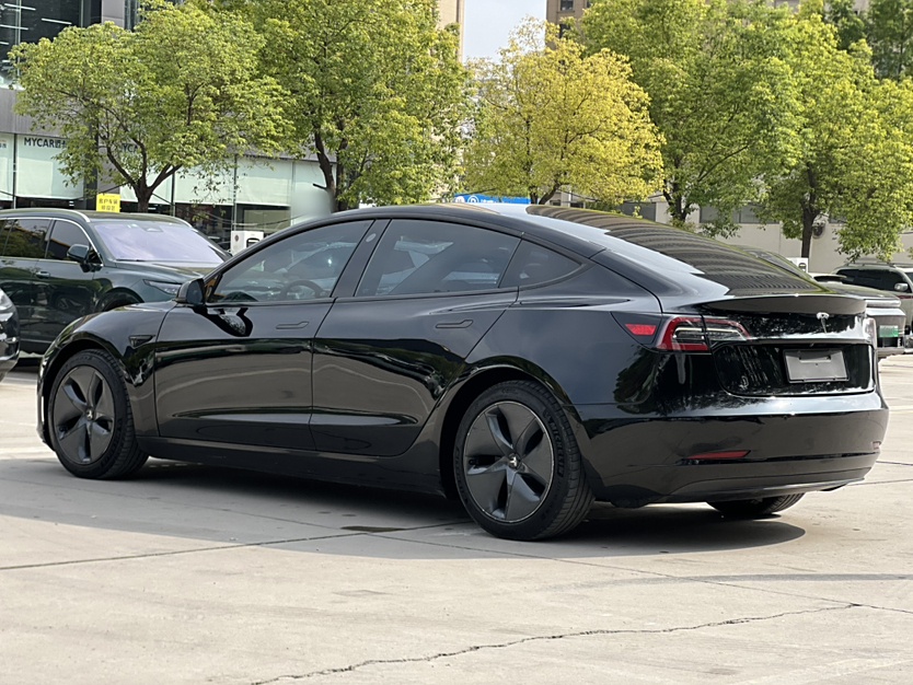 特斯拉 Model 3 2020款 标准续航后驱升级版