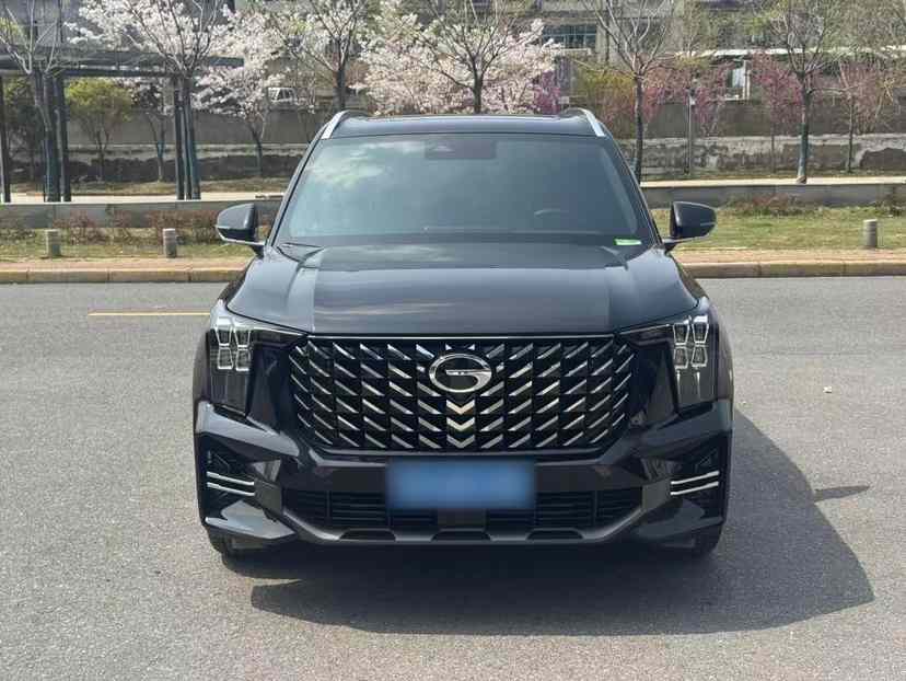 广汽传祺 传祺GS8 2025款 领航系列 2.0TGDI 两驱豪华版 5座(5)