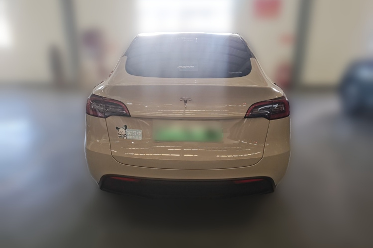 特斯拉 Model Y 2021款 标准续航后驱版车身外观6