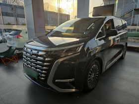 腾势D9 2024款 DM-i 980 四驱旗舰型