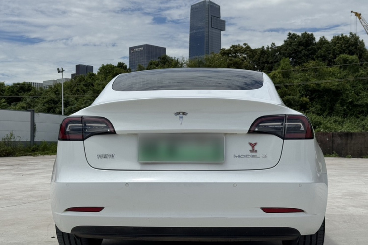 特斯拉 Model 3 2021款 标准续航后驱升级版车身外观6007