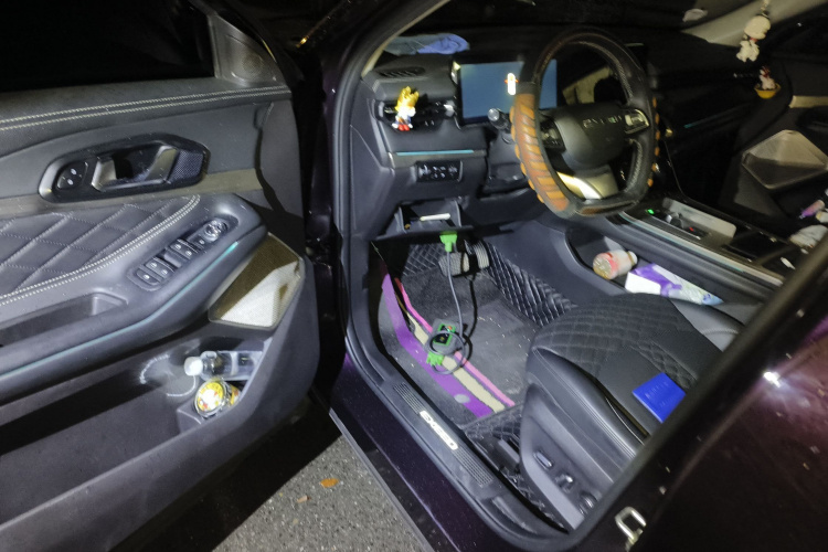 星途凌云 2021款 290T 两驱星耀版中控内饰20