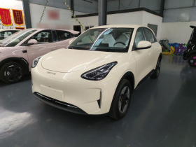 吉利银河 星愿 2026款 310km 梦想版