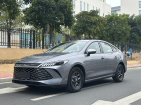 比亚迪 秦PLUS 2025款 DM-i 智驾版 55KM领先型