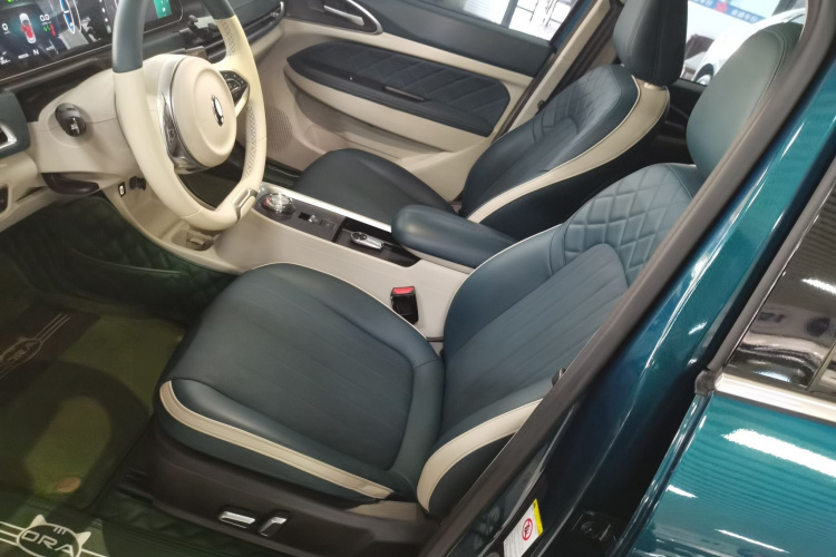 欧拉好猫 2021款 400km标准续航 雅典娜版 磷酸铁锂局部细节19