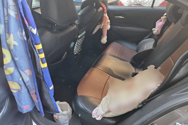 丰田 卡罗拉 2019款 双擎 1.8L E-CVT GL-i精英版中控内饰21