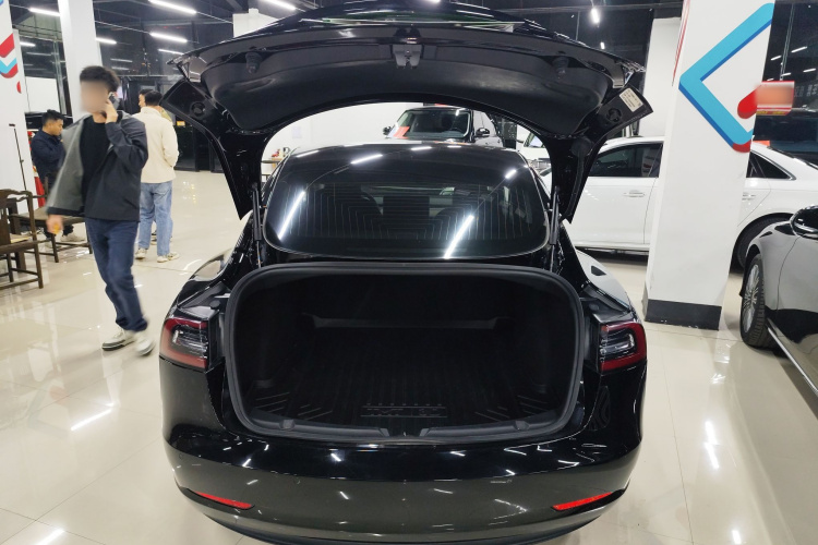 特斯拉 Model 3(进口) 2019款 长续航全轮驱动版局部细节23