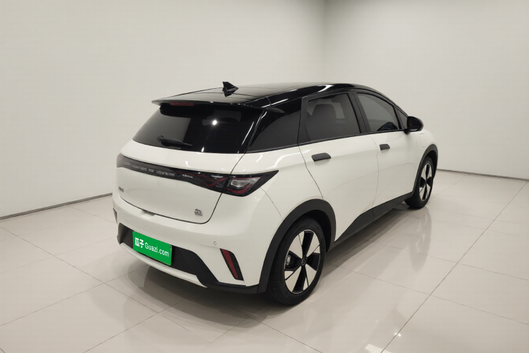 比亚迪 海豚 2023款 420km 时尚版车身外观7