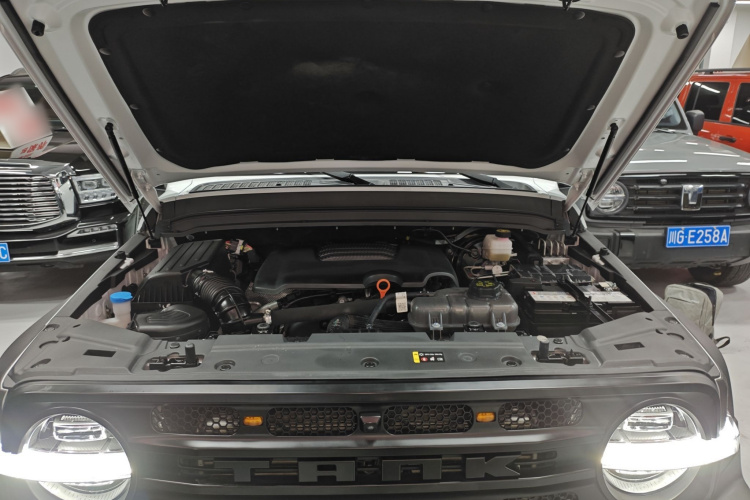 坦克300 2024款 2.0T 挑战者机舱底盘24