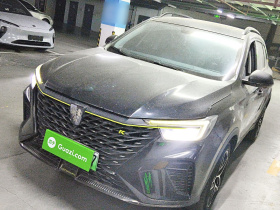 荣威RX5新能源 2021款 ePLUS 国潮荣麟豪华版