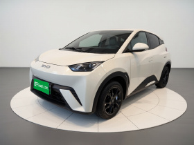 比亚迪 海鸥 2024款 荣耀版 305km 活力版