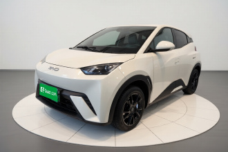 比亚迪 海鸥 2024款 荣耀版 305km 活力版