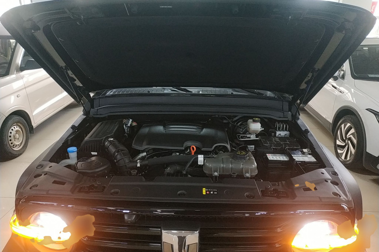 坦克300 2024款 2.0T 征服者机舱底盘24