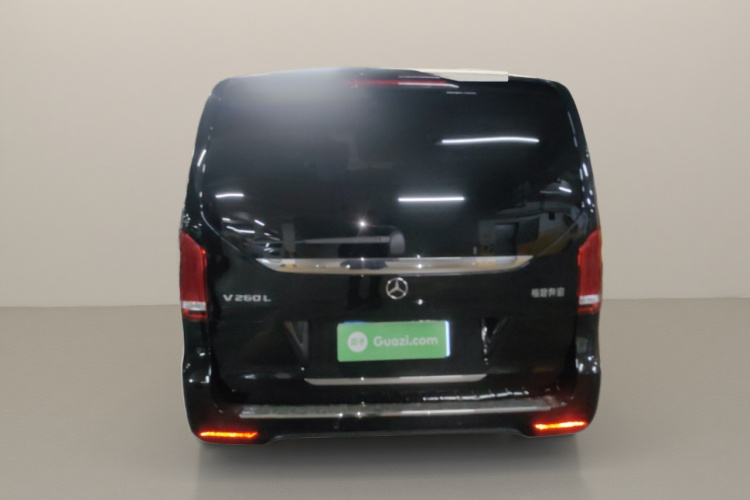 奔驰V级 2020款 V 260 L 长轴距豪华版车身外观6