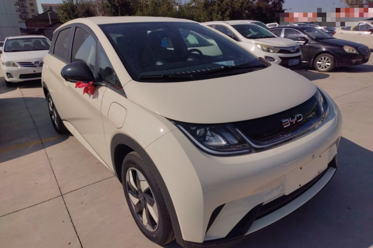 比亚迪 海豚 2025款 420km 自由版车身外观6002