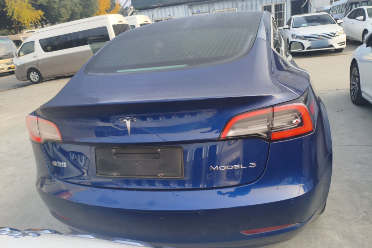 特斯拉 Model 3(进口) 2019款 长续航后驱版车身外观6