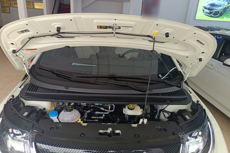 比亚迪 海豚 2025款 420km 自由版机舱底盘24