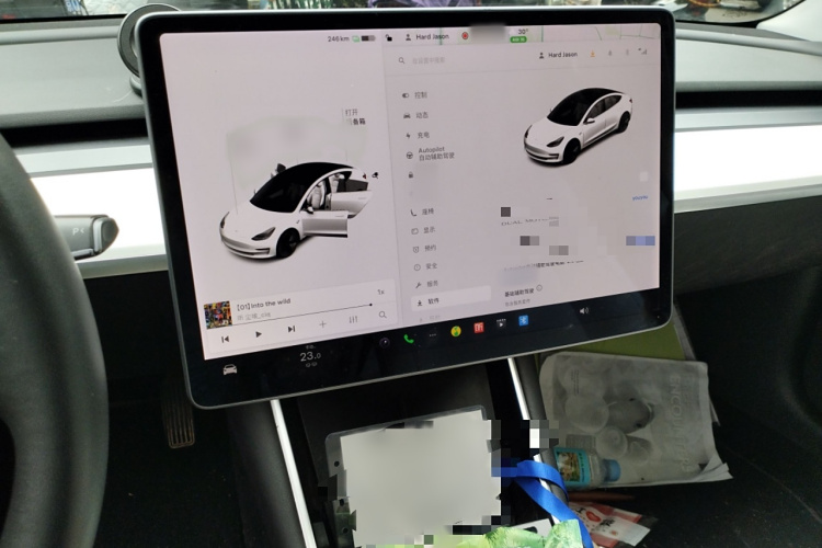 特斯拉 Model 3(进口) 2019款 长续航全轮驱动版局部细节14