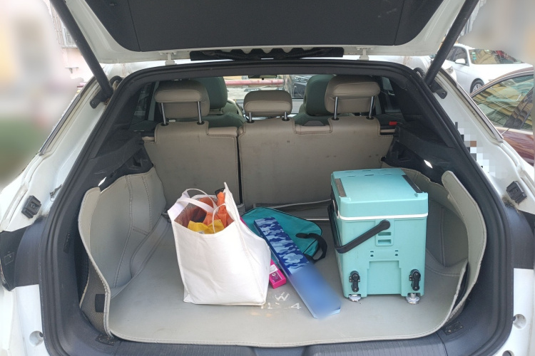 大众 ID.4 CROZZ 2024款 纯享限量版局部细节23