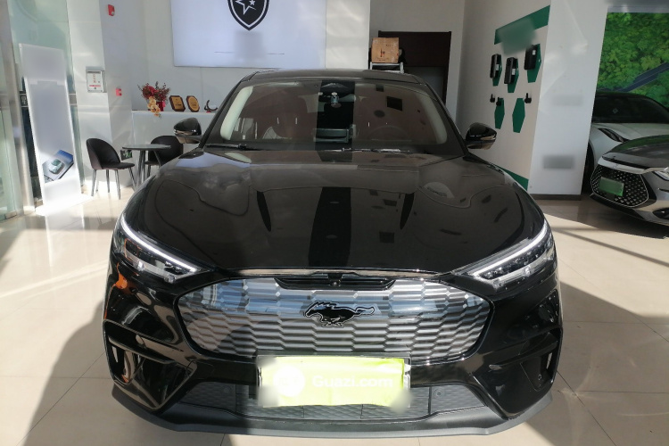 福特电马 2021款 跃世后驱版(标准续航)车身外观2