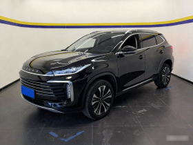 星途凌云 2024款 300T 两驱星耀版