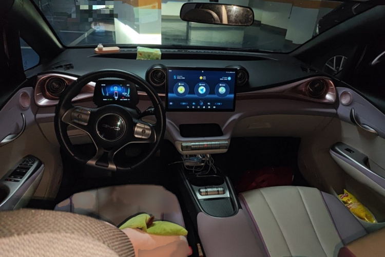 比亚迪 海豚 2021款 405km 自由版中控内饰7002