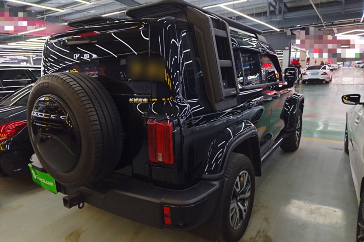 坦克300 2024款 2.0T 穿越者车身外观6005