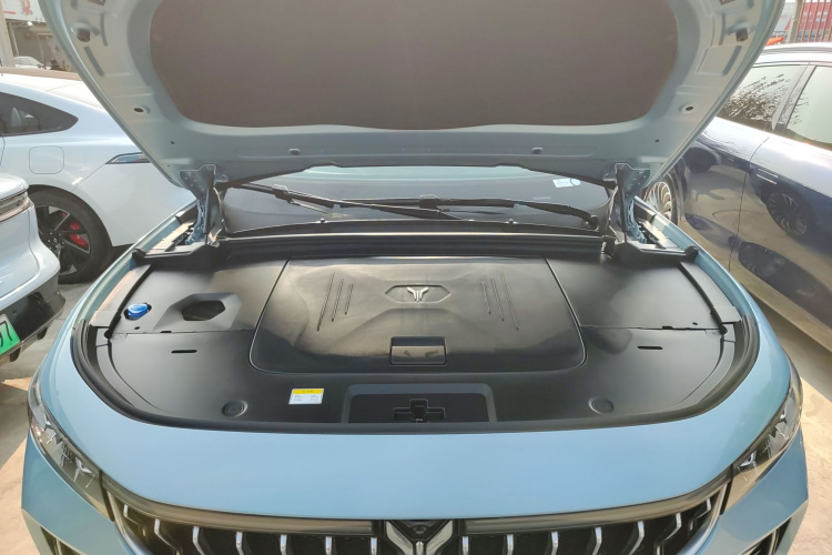 岚图汽车 岚图FREE 2022款 四驱超长续航纯电版局部细节24