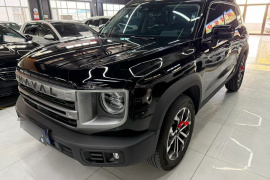 哈弗大狗 2024款 1.5T DCT边牧版