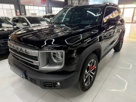 哈弗大狗 2024款 1.5T DCT边牧版