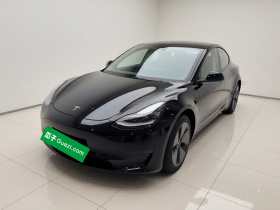 特斯拉 Model 3 2021款 改款 标准续航后驱升级版 3D1