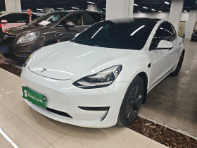 特斯拉 Model 3(进口) 2019款 标准续航后驱升级版(52度)