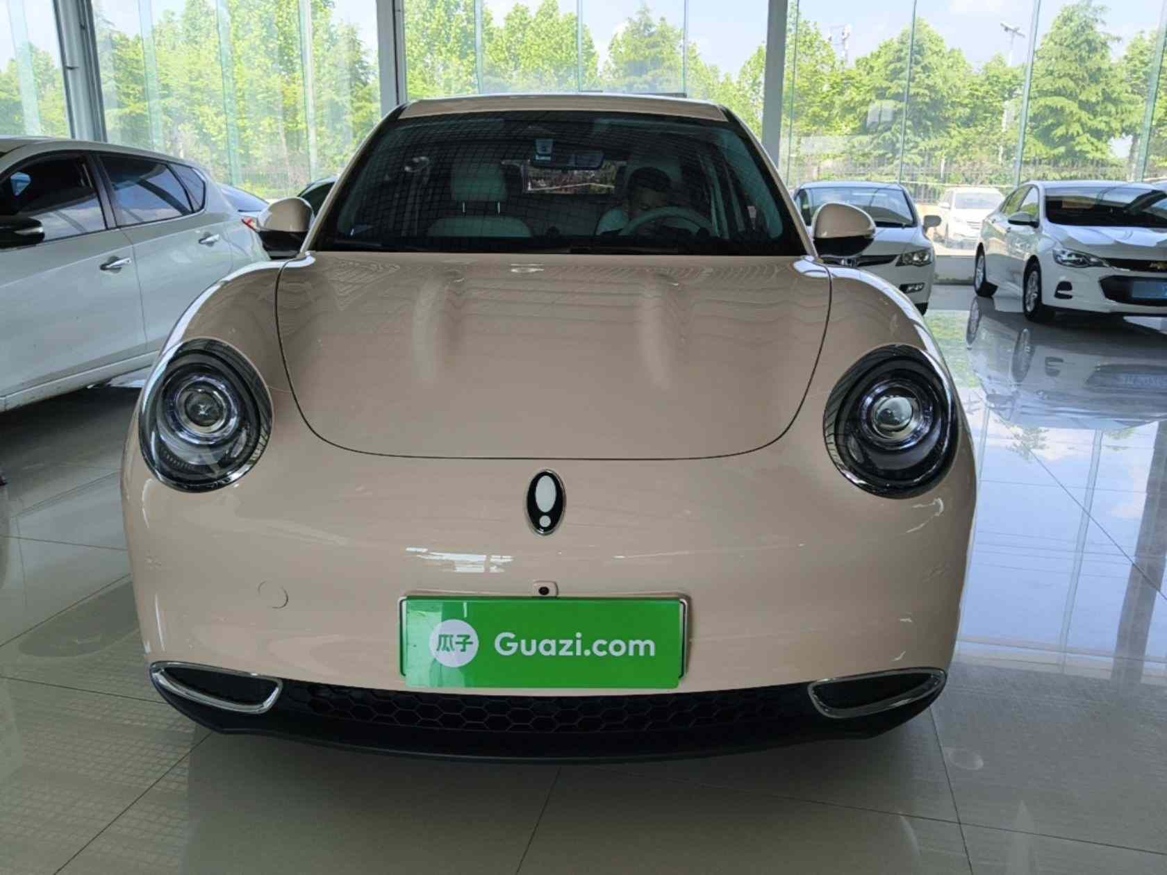 欧拉好猫 2024款 401km 豪华型(1)