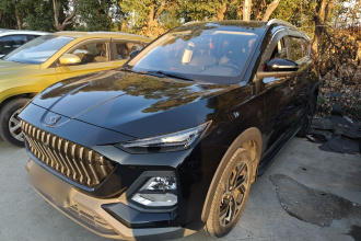 思皓X8 2021款 300T DCT豪华智联版 7座