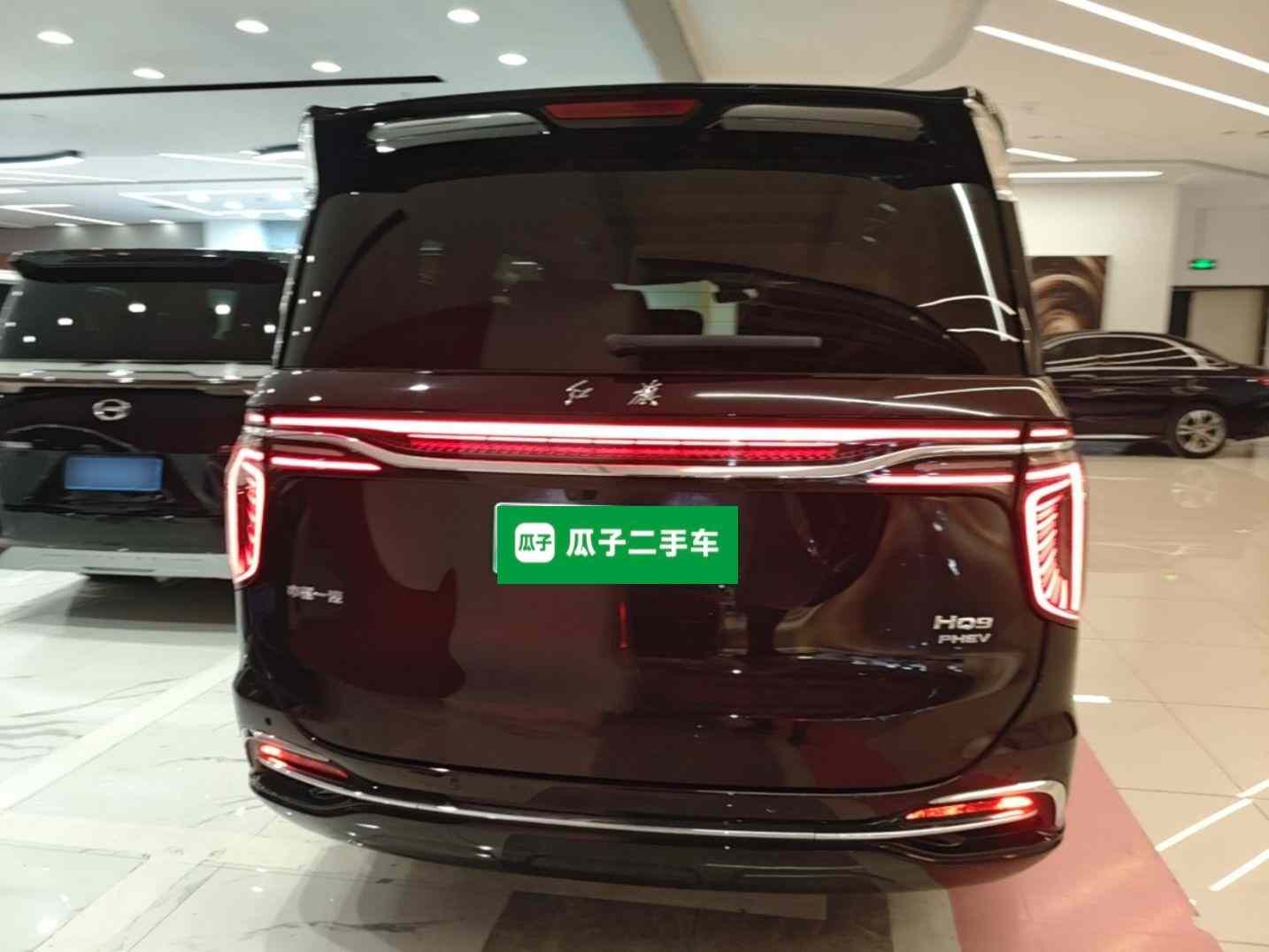 红旗HQ9 PHEV 2024款 2.0T 四驱豪华版(3)