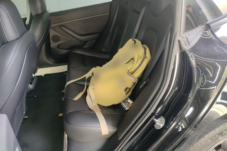 特斯拉 Model 3 2021款 标准续航后驱升级版 3D6中控内饰7004